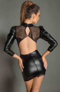 COAXcopenhagen.com Black Wet Look And Mesh Dress - Strike A Pose The COAX Fetish