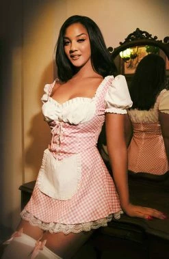 COAXcopenhagen.com COSTUMES Pink Gingham Dress Costume - Farm Hair, Don't Care