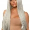 COAXcopenhagen.com ACCESSORIES Long Straight Center Part Silver Blond Wig