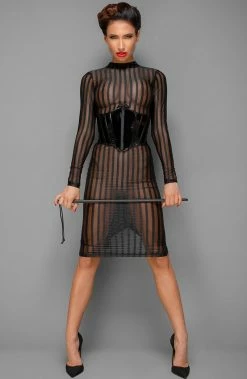 COAXcopenhagen2 Sheer Mesh Pencil Dress - Call Me Claire LINGERIE