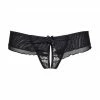 COAXcopenhagen2 Black Crotchless Plus Size Thong With Silver Shimmer - PENCHANT LINGERIE