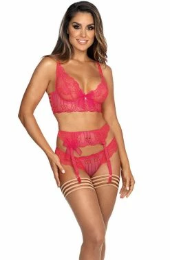 COAXcopenhagen.com LINGERIE Pink Lace Garter Belt - SIREN