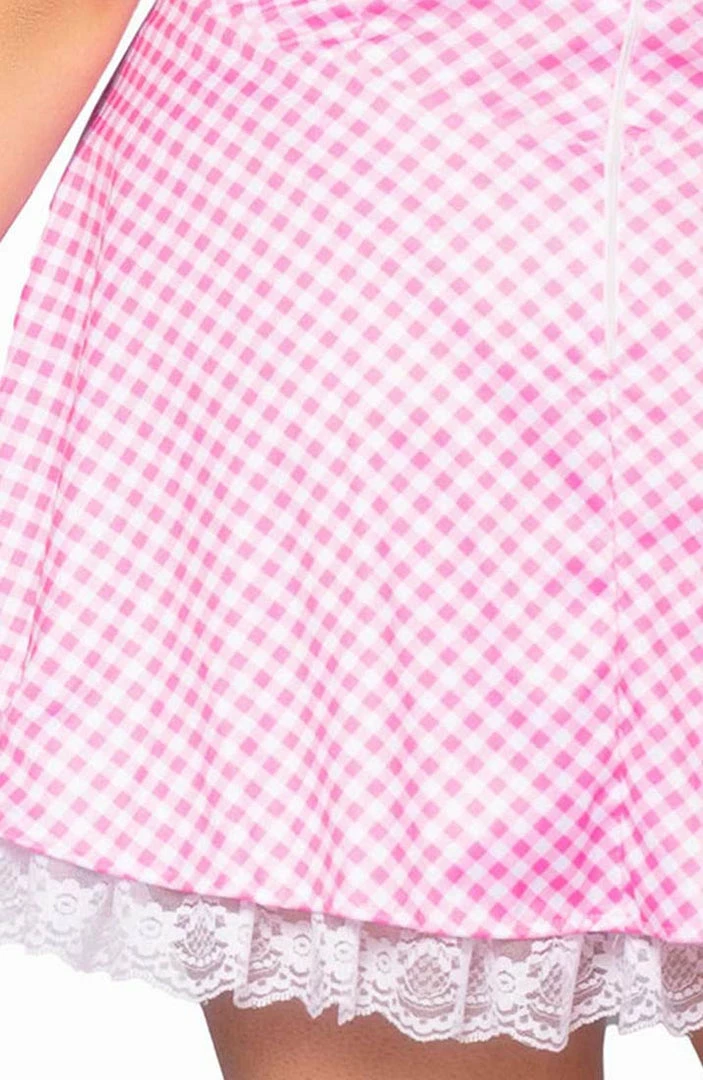 COAXcopenhagen.com Plus Size Pink Gingham Dress Costume - Farm Hair, Don't Care