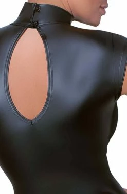 COAXcopenhagen.com LINGERIE Black Wet Look Dress With Sheer Mesh Highlights - Outside The Lines