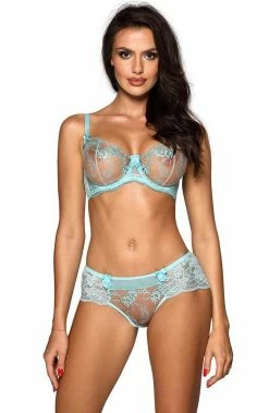 COAXcopenhagen.com Turquoise Brief Panty With Embroidery - Sheer Serenity LINGERIE